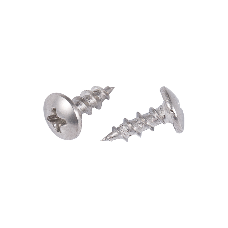 Counterk Head/Yükseltilmiş Counterk Head/Bugle Head/Tan Kafası/Yuvarlak Kafa Yıkayıcı/Düz Yuvarlak Kafa Alçıpan Vidaları